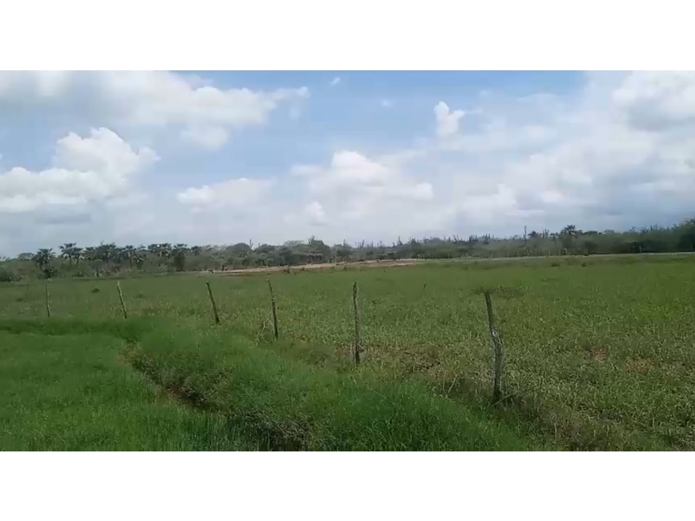 Lote en venta - Sitio Nuevo, Magdalena - 1