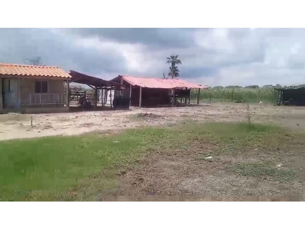 Lote en venta - Sitio Nuevo, Magdalena - 2