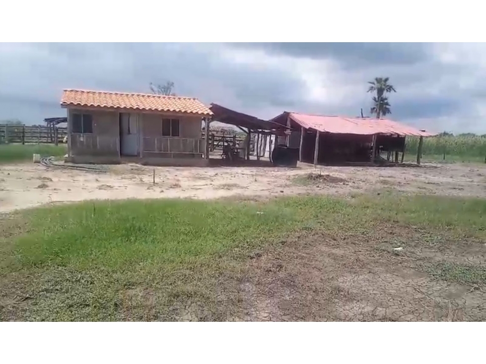Lote en venta - Sitio Nuevo, Magdalena - 3
