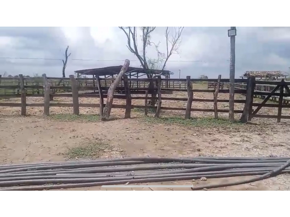 Lote en venta - Sitio Nuevo, Magdalena - 5