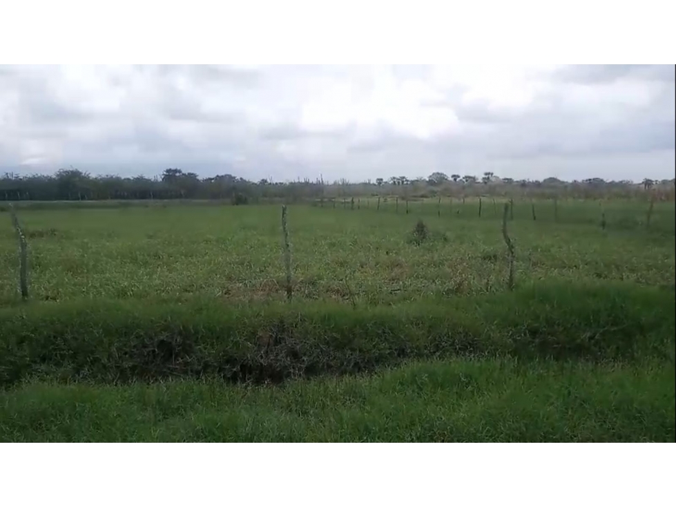 Lote en venta - Sitio Nuevo, Magdalena - 6