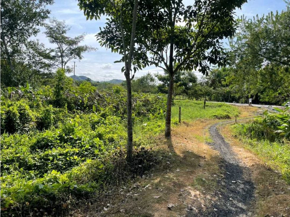 Lote en Venta sobre la Troncal Ruta al Sol después de Carrizal — foto 2