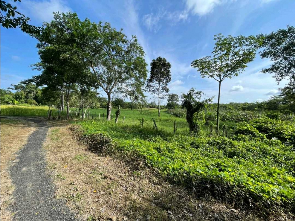 Lote en Venta sobre la Troncal Ruta al Sol después de Carrizal — foto 3