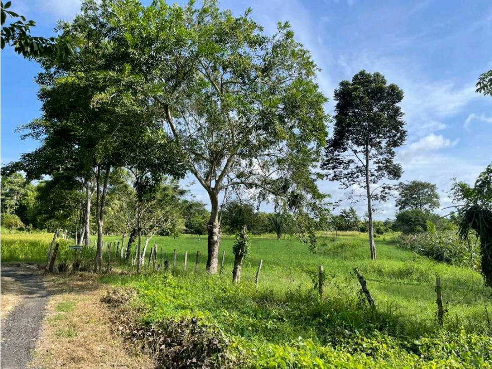 Lote en Venta sobre la Troncal Ruta al Sol después de Carrizal — foto 4