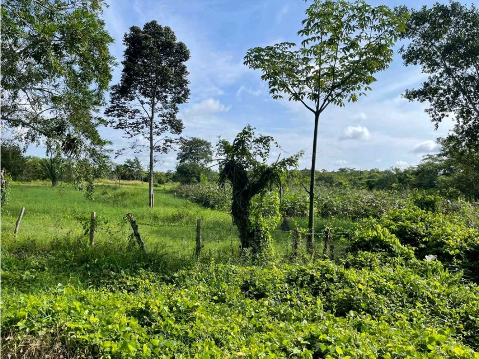 Lote en Venta sobre la Troncal Ruta al Sol después de Carrizal — foto 5