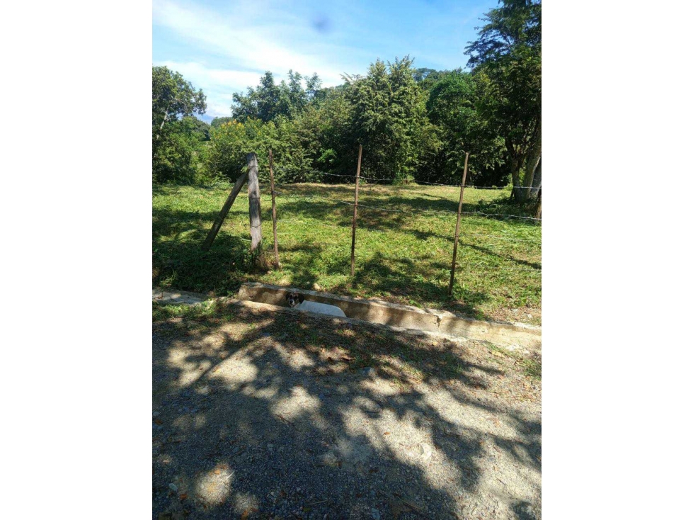 LOTE EN VENTA SOPETRÁN ANTIOQUIA VEREDA LLANO DE LA MONTAÑA ZONA URBAN — foto 2