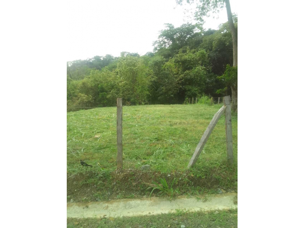 LOTE EN VENTA SOPETRÁN ANTIOQUIA VEREDA LLANO DE LA MONTAÑA ZONA URBAN — foto 4