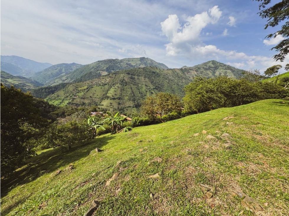 Lote en Venta | Titiribí, Antioquia. - 5