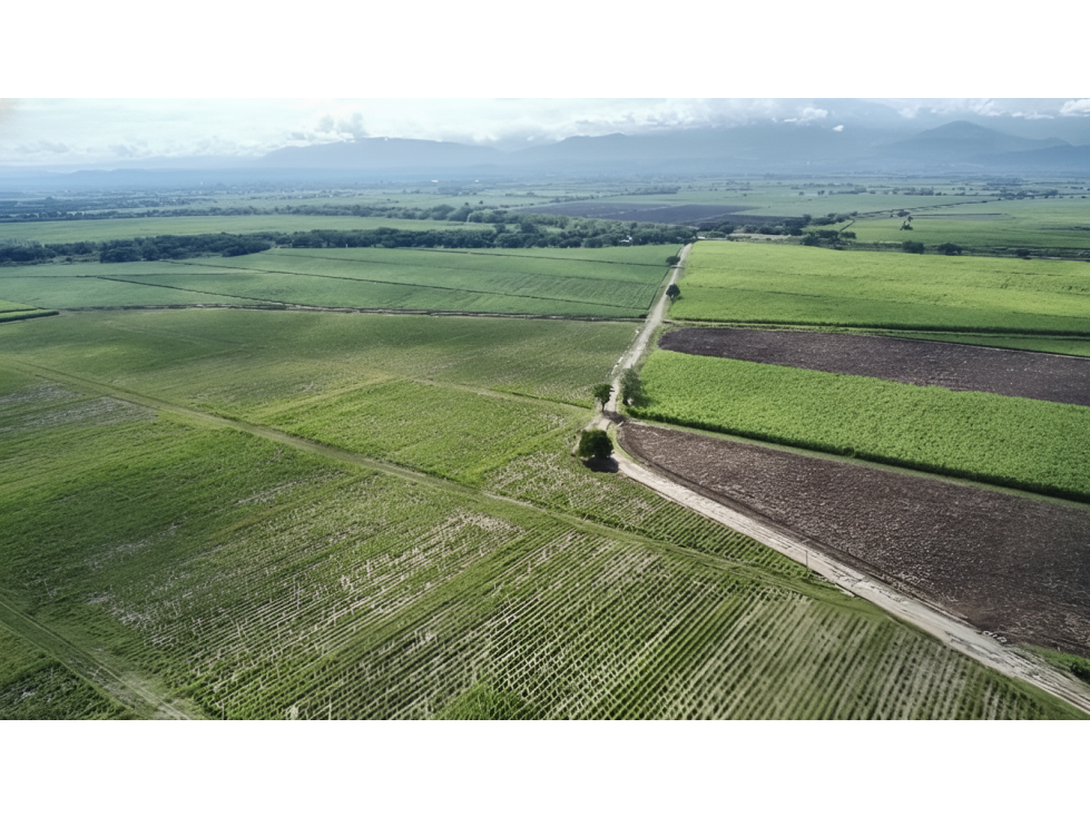 Lote en venta - Tuluá