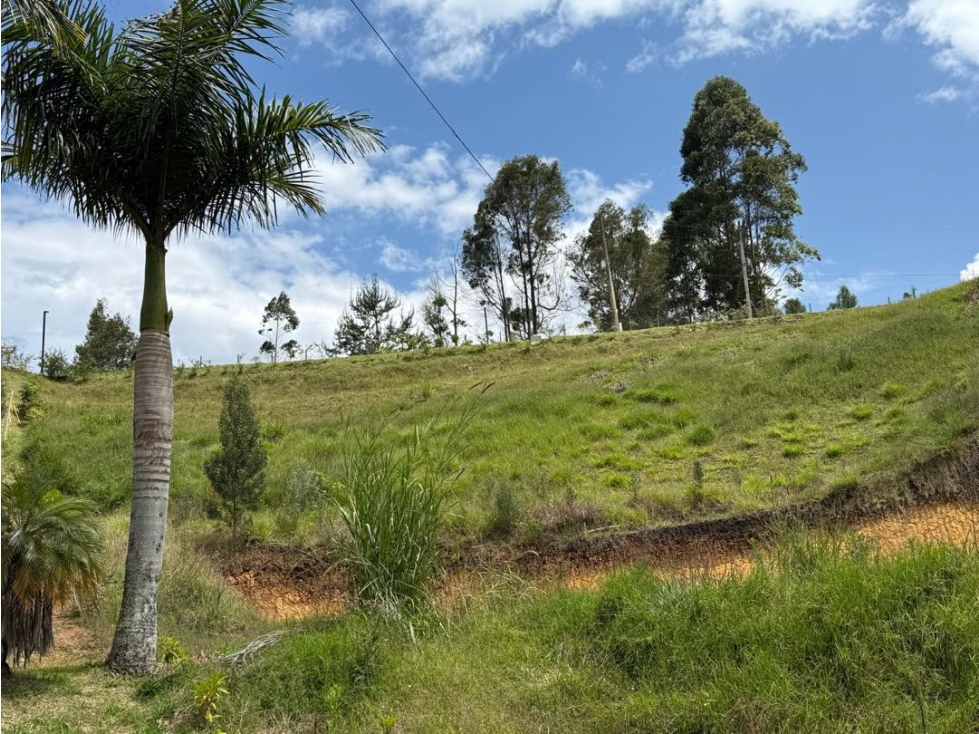 Lote en venta unidad cerrada vía Aeropuerto/Guarne — foto 5