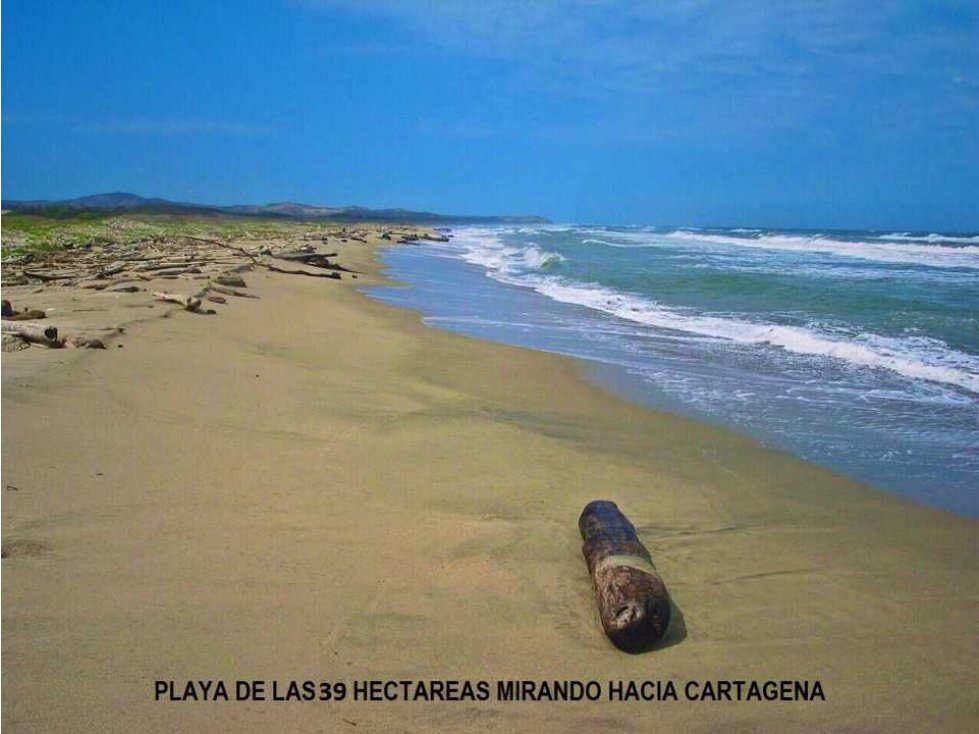 Vendo Lote Via al Mar Barranquilla Cartagena - 5
