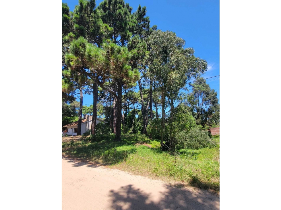 LOTE EN VENTA VALERIA DEL MAR SEGUÍ Y BALBOA - 2
