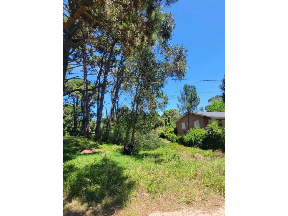 LOTE EN VENTA VALERIA DEL MAR SEGUÍ Y BALBOA - 4