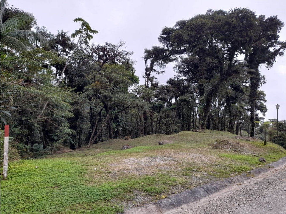 LOTE EN VENTA VALLE BONITO ALTOS DEL MARIA — foto 2
