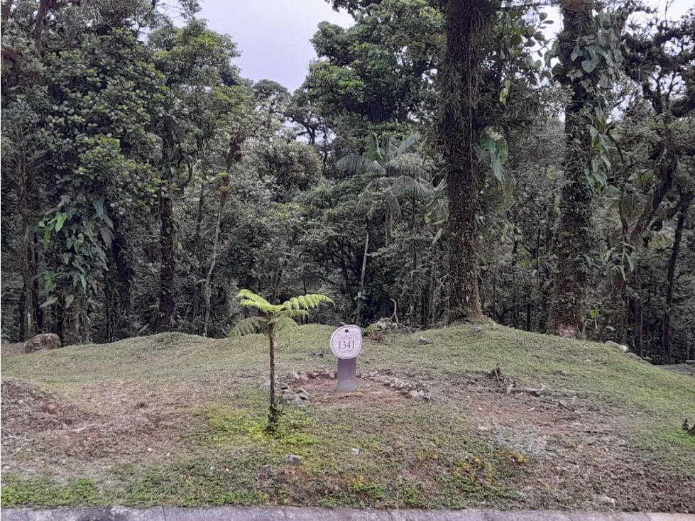 LOTE EN VENTA VALLE BONITO ALTOS DEL MARIA — foto 3