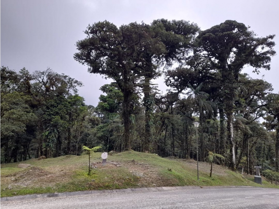 LOTE EN VENTA VALLE BONITO ALTOS DEL MARIA — foto 4