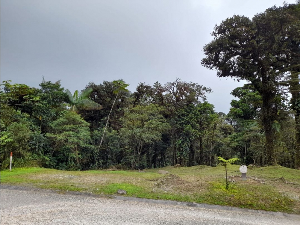 LOTE EN VENTA VALLE BONITO ALTOS DEL MARIA — foto 5