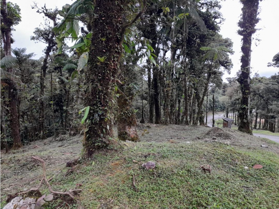 LOTE EN VENTA VALLE BONITO ALTOS DEL MARIA — foto 6