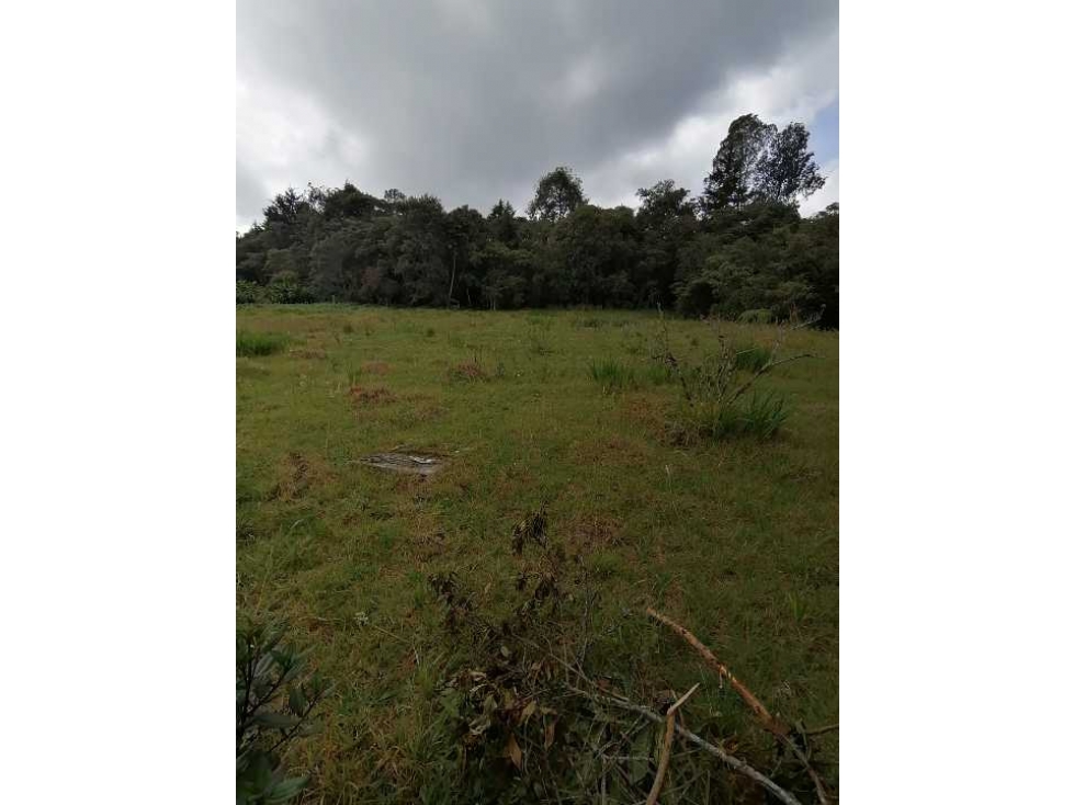 Lote en Venta Vereda El Cerro Santa Elena Medellín Antioquia — foto 2
