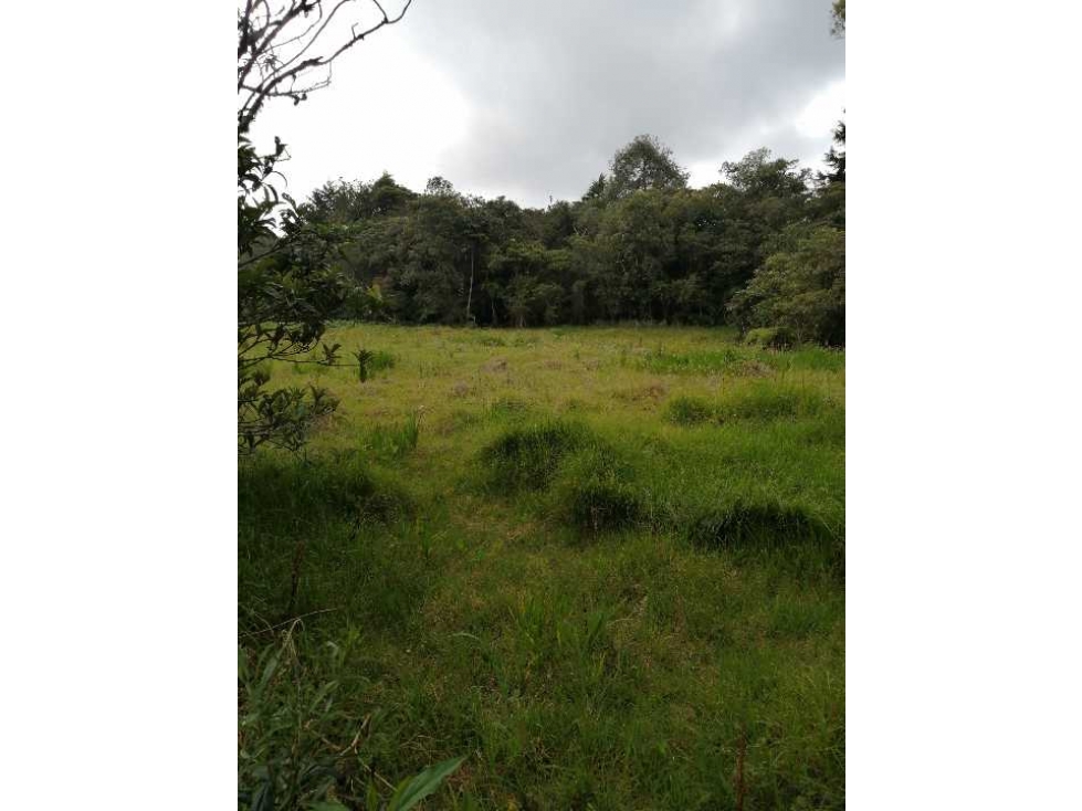 Lote en Venta Vereda El Cerro Santa Elena Medellín Antioquia