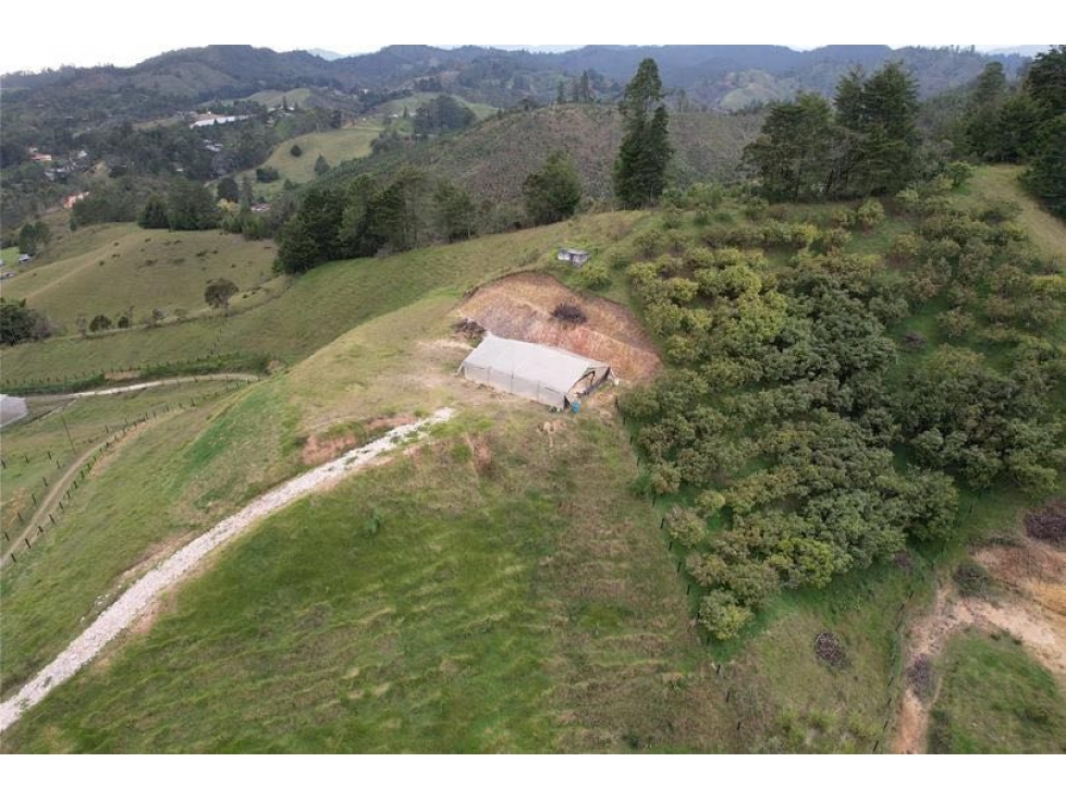 Lote en venta Vereda El Chuzcal
Ubicación privilegiada