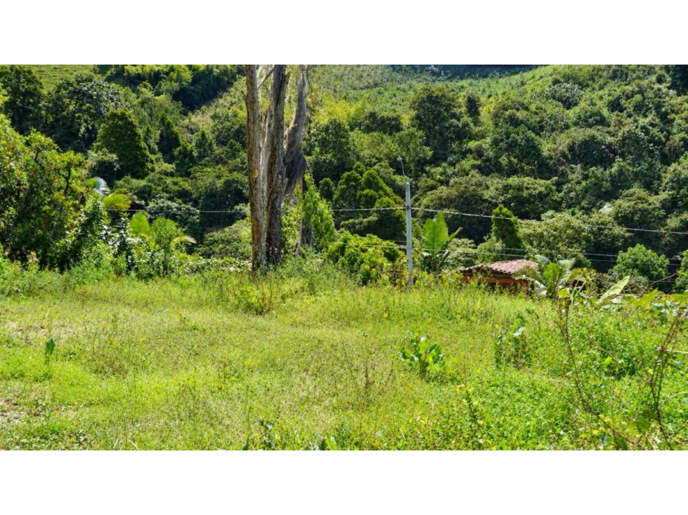 Lote en Venta Vereda La Palma San Cristobal — foto 6