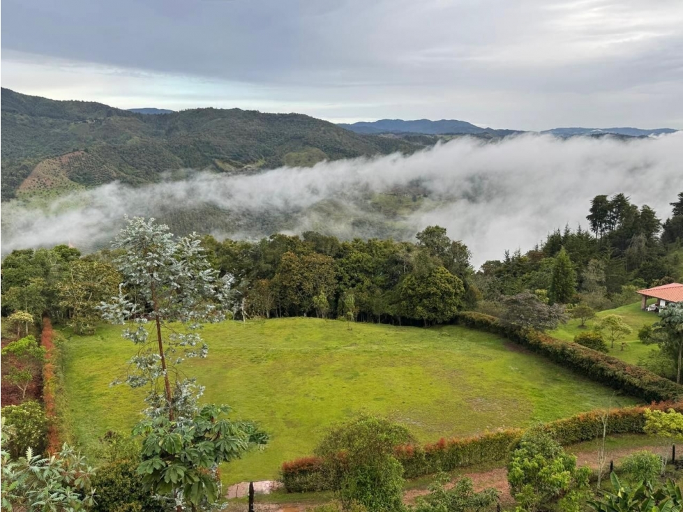 Lote en Venta Vereda Pantanillo, Sector Escuela Vieja
