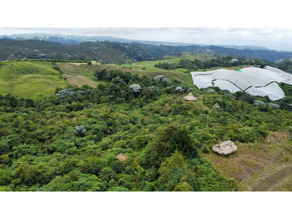 Lote en venta via Armenia