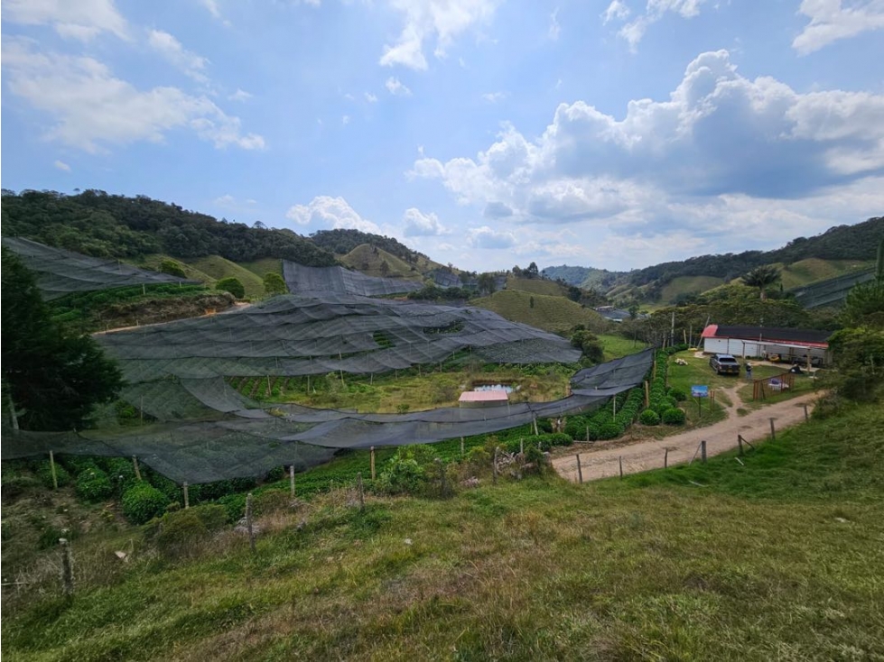 Lote en venta via la Ceja - San José