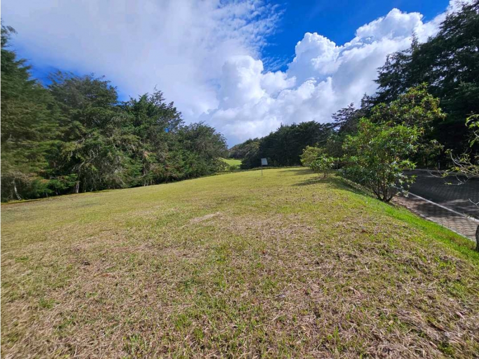 LOTE EN VENTA VIA LLANOGRANDE LA CEJA