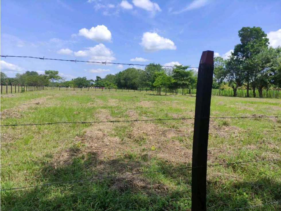 LOTE EN VENTA VIA MONTERIA ARBOLETES EN LOS CEDROS - 2