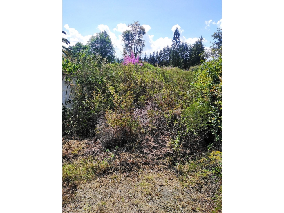 LOTE en Venta - Villa De Leyva, Boyaca - 1