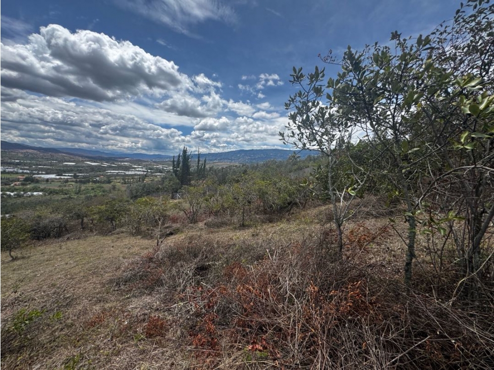 LOTE EN VENTA - VILLA DE LEYVA ALTO LOS MIGUELES EF - 6