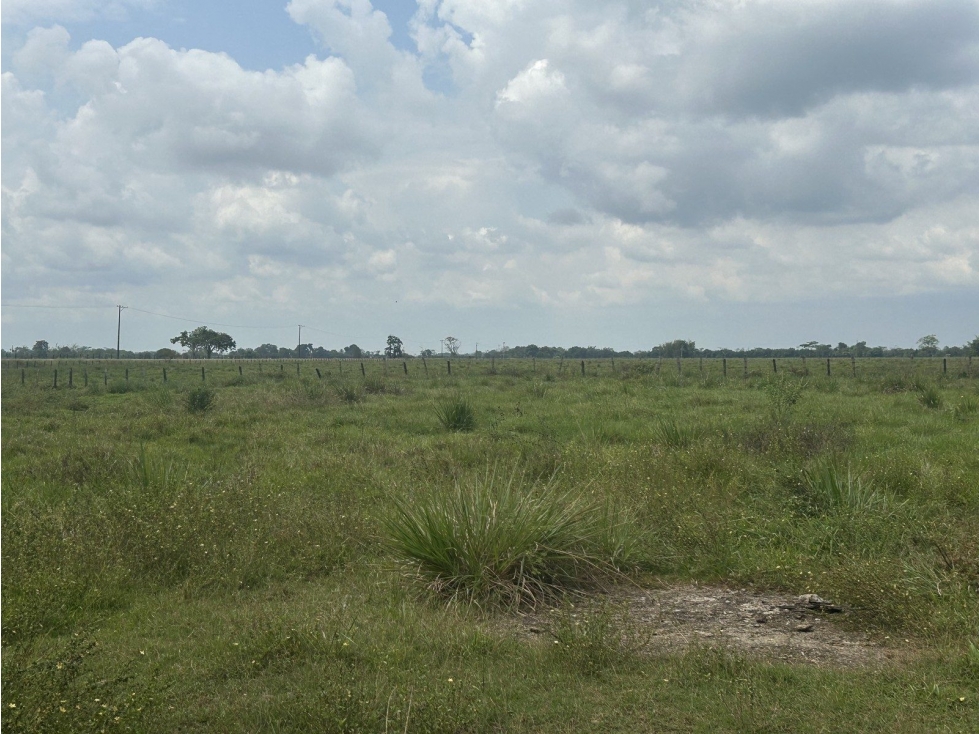 Lote en venta - Villavicencio - 1