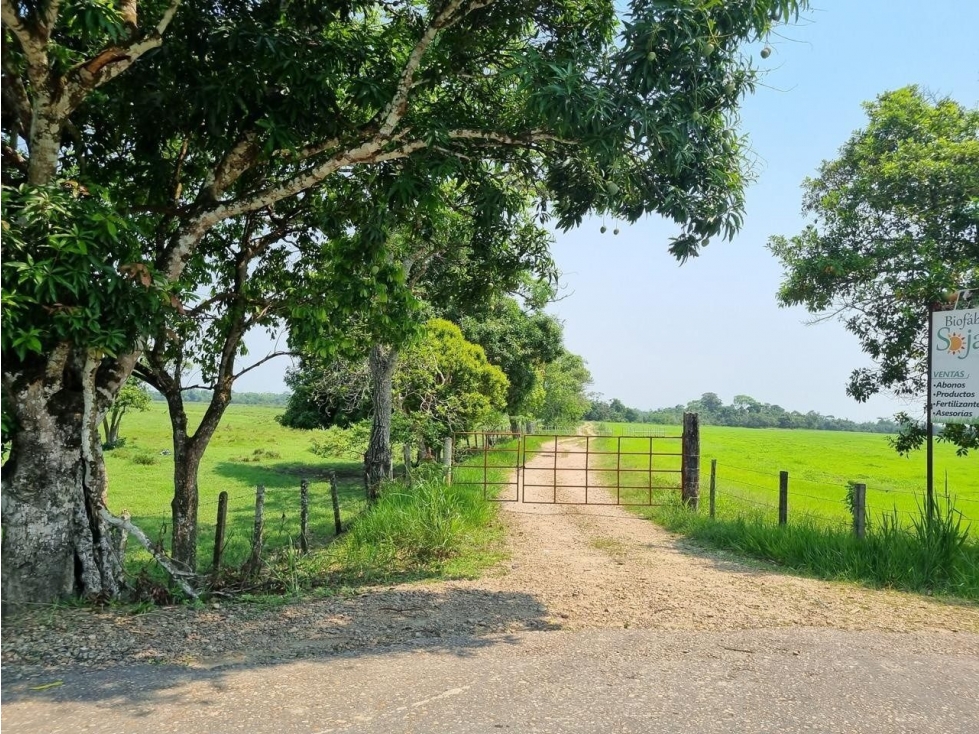 Lote en venta - Villavicencio - 4