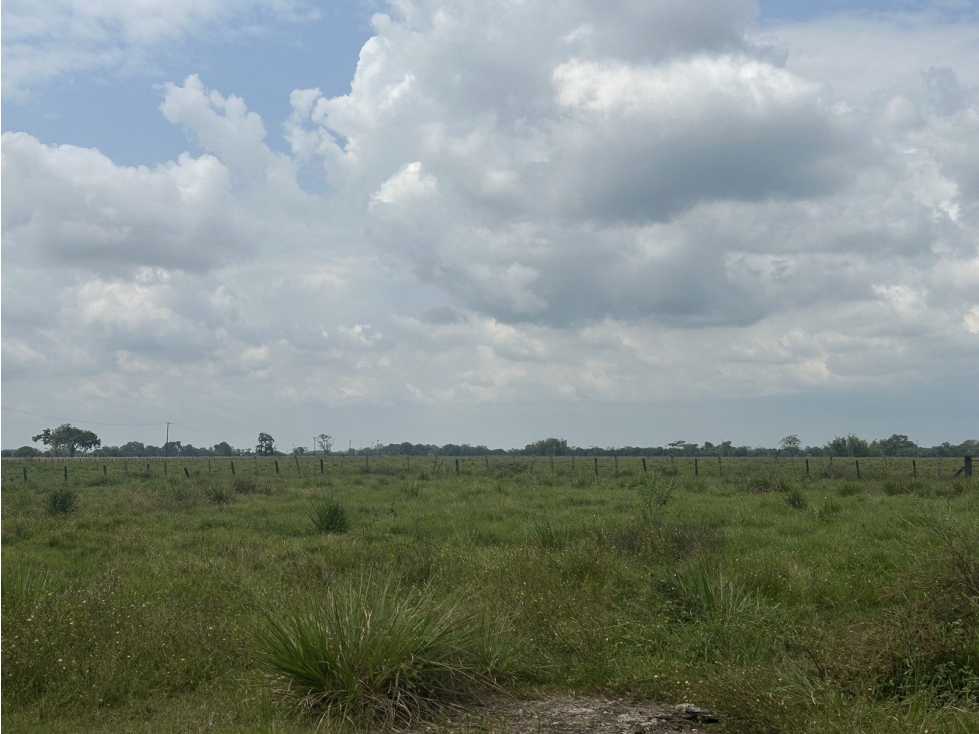 Lote en venta - Villavicencio - 5