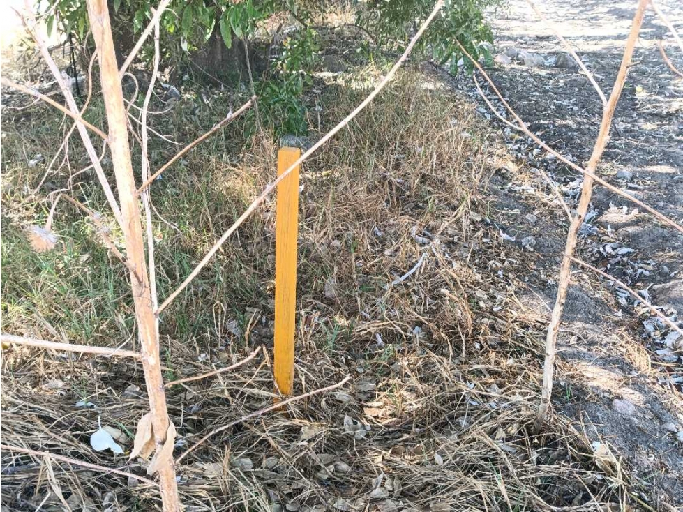 Lote en venta Zacatelco Tlaxcala - 6