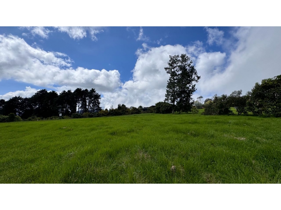 Lote en Venta Alto de Arrayanes, Naturaleza y Tranquilidad. Alto pal — foto 3