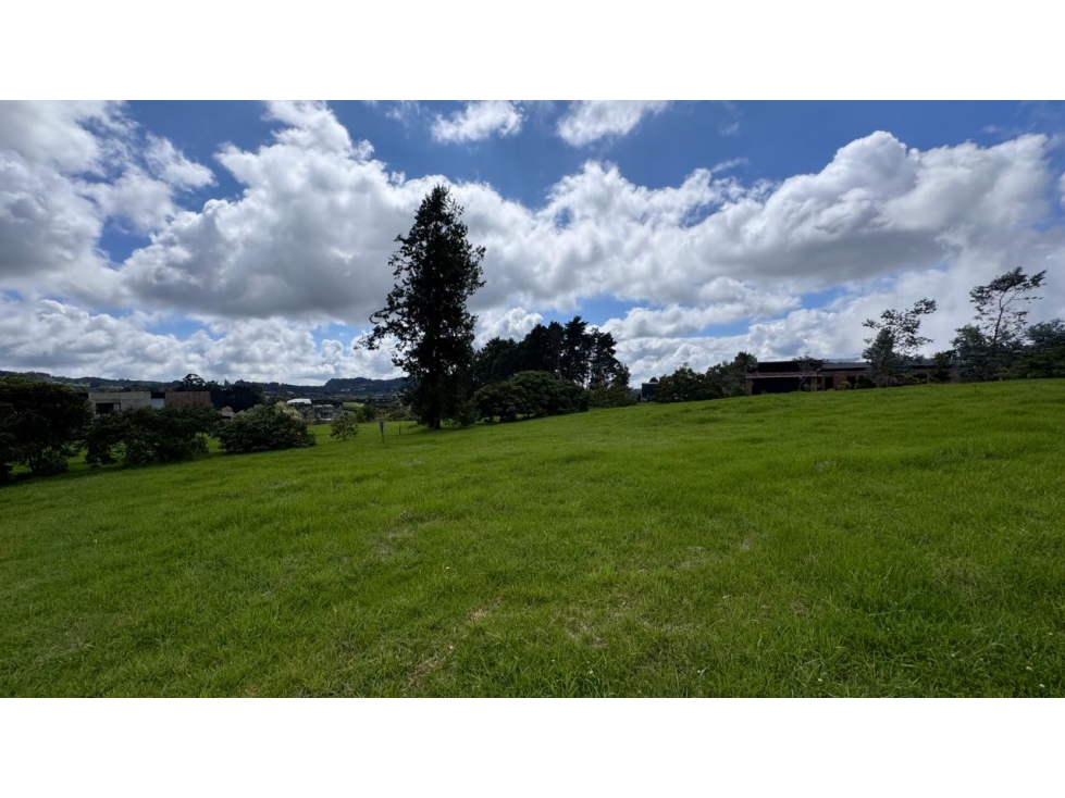 Lote en Venta Alto de Arrayanes, Naturaleza y Tranquilidad.Alto palmas — foto 2