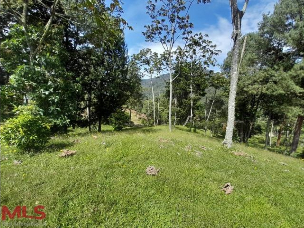 LOTE EN VENTA!!(MLS#236587) - 3