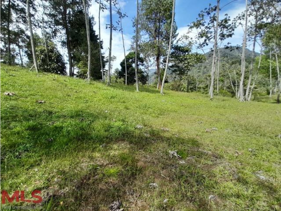LOTE EN VENTA!!(MLS#236587) - 6