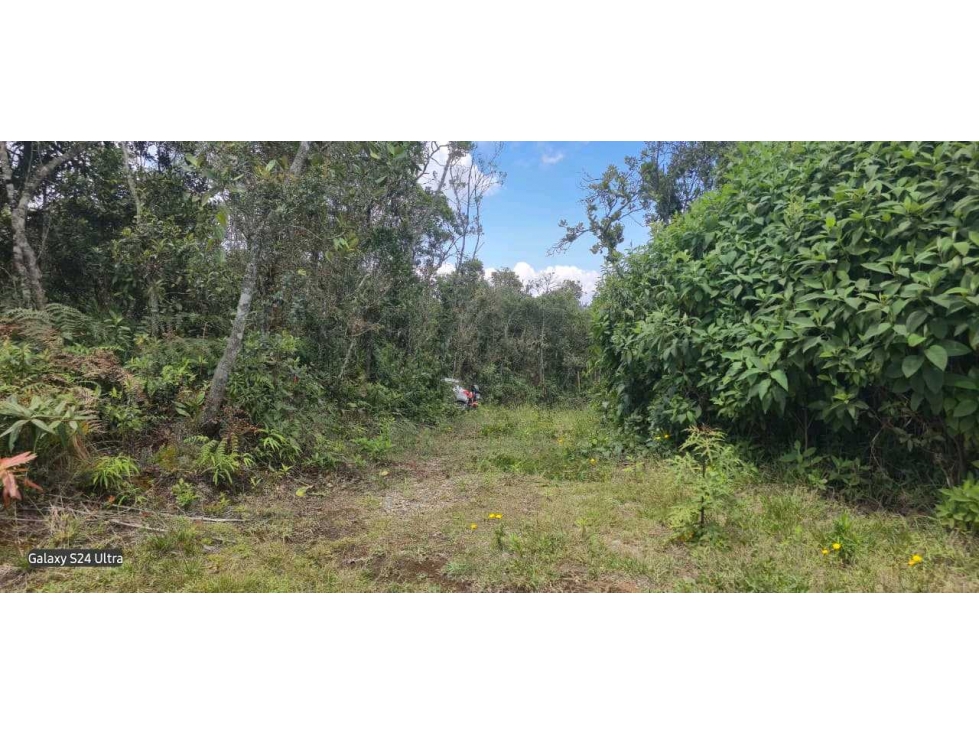 Lote Santa Elena, Piedras Blancas-2250 m2 - $400.000.000