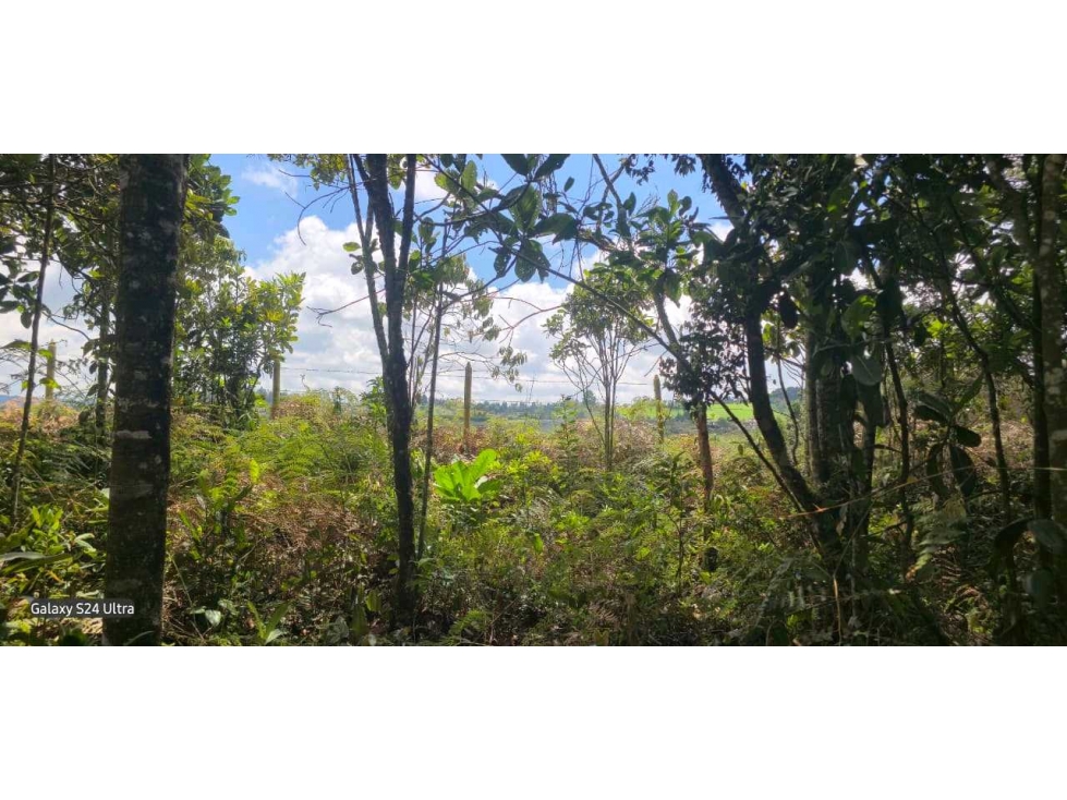 Lote Santa Elena, Piedras Blancas-2250 m2 - $400.000.000 — foto 3