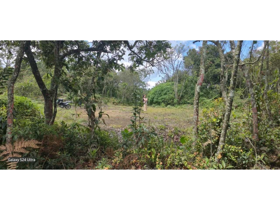 Lote Santa Elena, Piedras Blancas-2250 m2 - $400.000.000 — foto 4