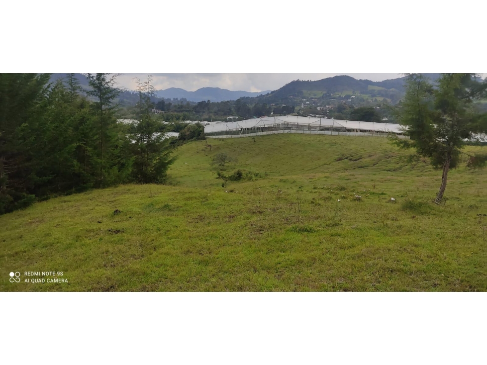 Lote en Vereda Pontezuela Llanogrande — foto 5