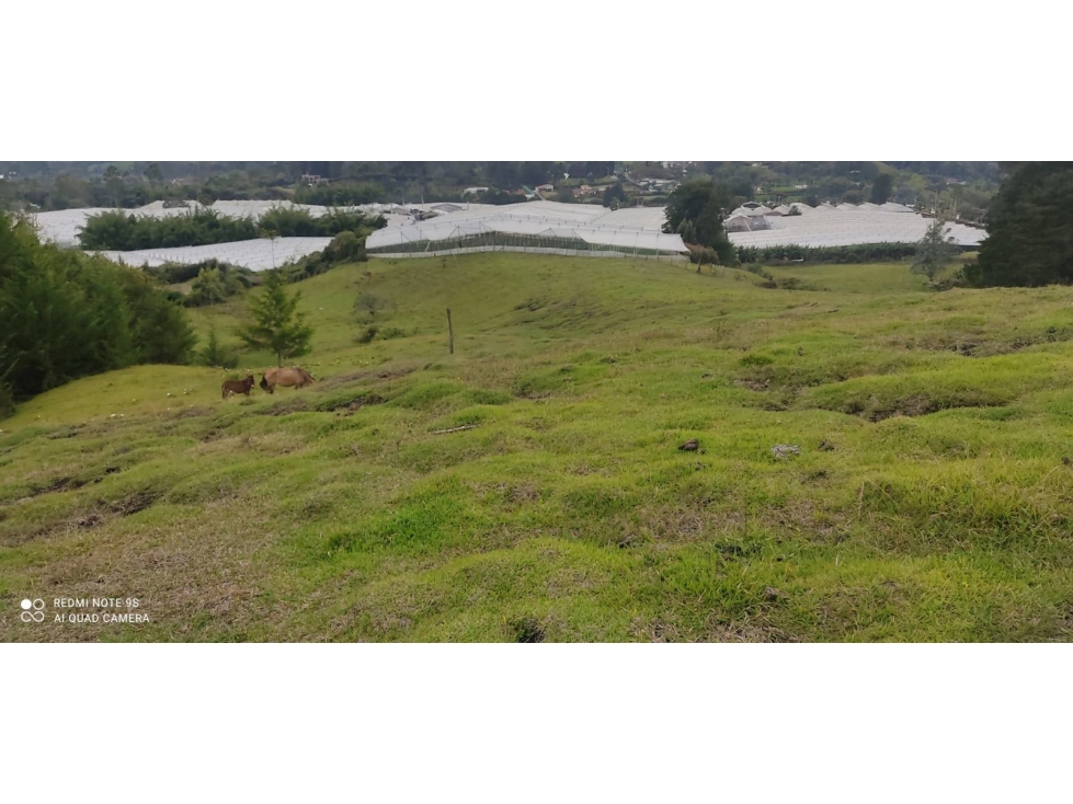 Lote en Vereda Pontezuela Llanogrande — foto 6