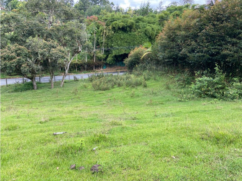 Lote en Vereda Pontezuela Llanogrande