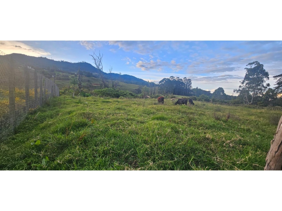 LOTE ENTRE SAN ANTONIO Y LA CEJA