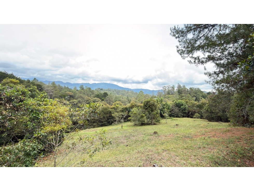 Lote Entrebosques — foto 4