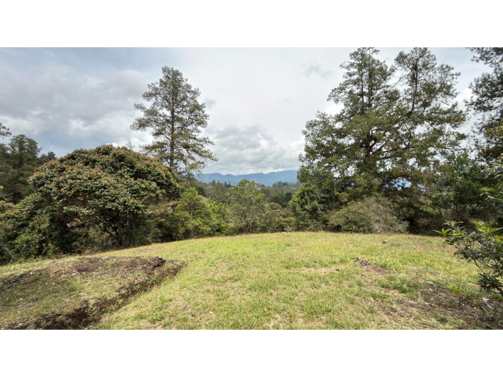 Lote Entrebosques — foto 5
